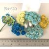 100 Arabian Jasmine (3/4" or 2cm) Mixed Yellow / Turquoise Tone Flowers 