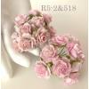 50 Indian Jasmine (1"or2.5cm) Mixed 2 Pink (Pre-Order)