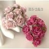 50 Indian Jasmine (1"or2.5cm) Mixed Soft Pink / PINK Flowers