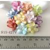 50 Mixed 10 Rainbow EDGE Small Spring Cottage Paper Flowers