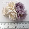 25 Peony 2" or 5cm Mixed JUST White -  SOFT Purple