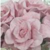 25 SOFT Pink Curly Paper Flowers