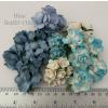 40 Mixed 4 design Blue White Crafts Paper Flowers 