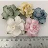25 Large  2" or 5 cm - Mixed 5 Colors Tea Roses (2/15/147/167/170)
