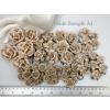   60 Mixed 9 Paper Flowers JUST Nude Pink - Sample A1(R3/4/5/6/19/21/40/60/77)