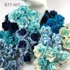 25 Mixed All Blue Paper Roses 