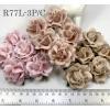 25 Large 2 Mixed 3 Pink Roses (2/122/125)