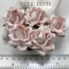 25 Large 2" White - BLUSH Edge Sweet Moon Roses