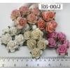 50 Size 1" or 2.5 cm Mixed 5 Roses (3/15/98/147/526)