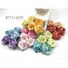 25 large 2" Mixed White -10 Rainbow Edge Variegated Roses