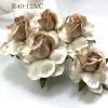 25 Large  2" or 5 cm - White with NUDE Pink Center Tea Roses