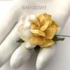 25 Large  2" or 5 cm - Half White - Yellow TEA Roses