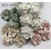  50 Medium May Roses (1-1/2"or3.75cm)  Mixed 5 Colors Flowers (15/122/153/167)