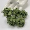 50 Medium May Roses (1-1/2"or3.75cm) Solid Pine Green Flowers