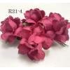  50 Medium 1.5" Solid Hot Pink May Roses