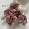 50 Medium May Roses (1-1/2"or3.75cm) Solid Dusty Pink Flowers