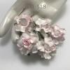 50 Medium 1.5" White - Soft Pink EDGE May Roses