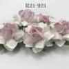   50 Medium 1.5" White - SOFT Pink Center May Roses