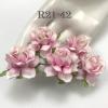 50 Medium May Roses (1-1/2"or3.75cm) White - Sweet Pink Bottom Splash 