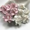 50 Medium May Roses (1-1/2"or3.75cm) Mixed JUST Soft Pink - WHITE Flowers