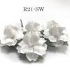 50 Small May Roses (1"or2.5cm) SNOW White  (Pre-order)