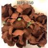 50 Small 1" Solid Terra Cotta Brown May Roses