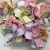  50 Small 1" Special Dyed Unicorn May Roses
