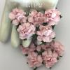 50 Small 1" Solid Soft Pink May Roses 