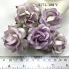 25 Large 2" White with SOFT Purple EDGE Variegated Roses