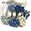 100 Mini 1/4" or 1cm Mixed Blue BOY Open Roses
