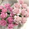 100 Mini 1/4" or 1cm Mixed JUST 2 Pink Open Roses (2/3)
