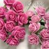 100 Mini 1/4" or 1cm Mixed JUST 2 Pink Open Roses (3/4)