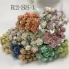 100 Mini 1/4" or 1cm Mixed 10 Open Roses (SS-1)