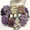 100 Size 1/2" or 1.5 cm Mixed All Purple Open Roses