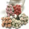 100 Size 5/8" or 1.5 cm Mixed 5 Roses (2/15/50/123/921) 