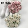 100 Size 3/4" or 2cm Mixed JUST White and Soft Pink Open Roses
