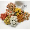 100 Size 3/4" or 2cm Mixed Fall Tone Open Roses