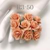 100 Size 3/4" or 2cm Peach Open Roses