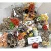 Special 10 packs Mixed Assortment Earthy - Autumn Special A3