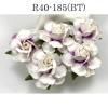 25 Large  2" or 5 cm - White - PURPLE Bottom Splash Tea Roses (185/BT)