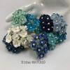 100 Size 5/8" or 1.5 cm - Size 5/8" or 1.5 cm - Small Mixed All Blue / White