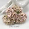  100 Size 5/8" or 1.5 cm - Small Achillea Cottage- 2 Solid Pink