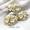  100 Size 5/8" or 1.5 cm - Small Achillea Cottage - Solid Beige