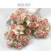 50 Puffy Roses (1-1/4 or3 cm) White -Soft  Pink Center