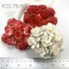 50 Puffy Roses (1-1/4or3cm) Mixed Red-WHITE(12/12V/15)   
