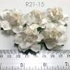50 Medium May Roses (1-1/2"or3.75cm) White Paper Paper Flowers 