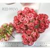  50 Puffy Roses (1-1/4or3cm) White - Soft Red EDGE Flowers