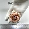 20 Romantica Roses (2or 5cm) NUDE Pink (Pre-Order / Please contact us)  