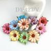 25 Daisy (1-3/4 or 4.5cm) Mixed Rainbow EDGE Colors