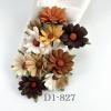 25 Daisy (1-3/4 or 4.5cm) Mixed Earthy Brown (NEW)